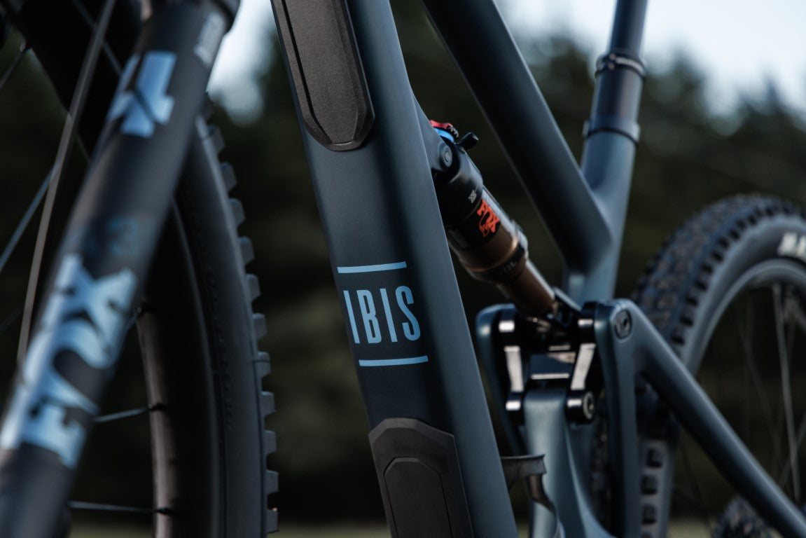 Ibis Ripley