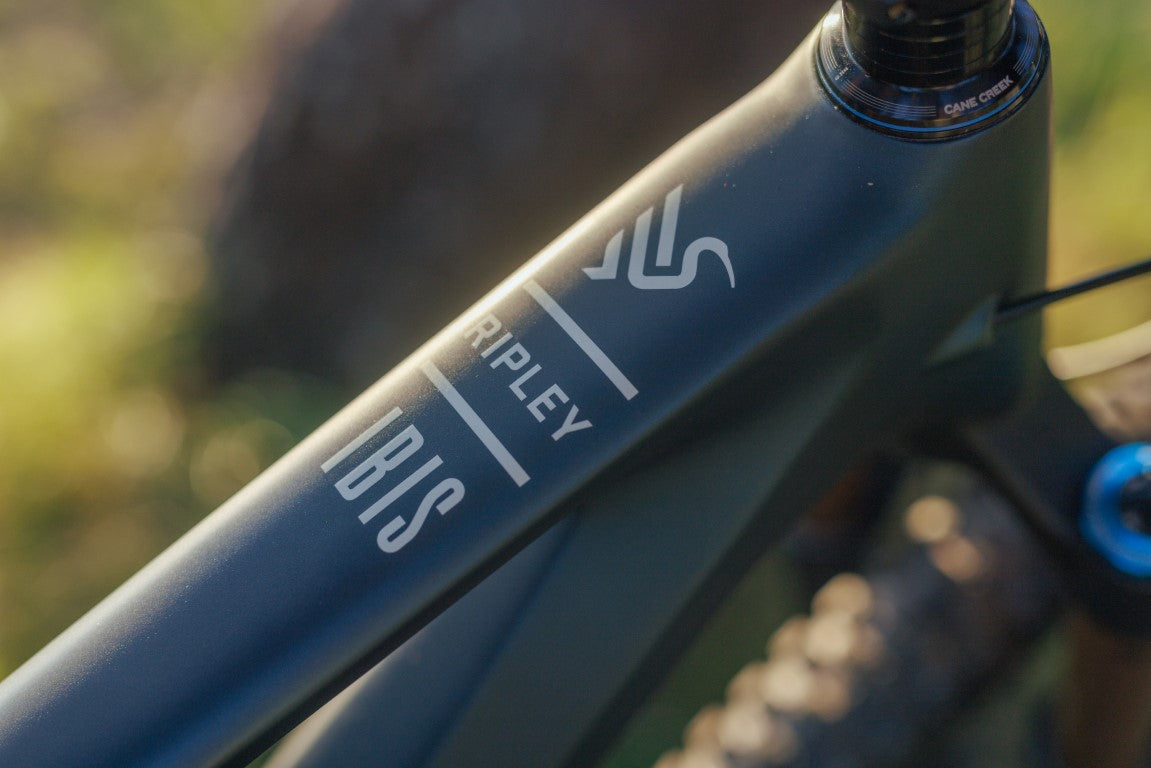 Ibis Ripley
